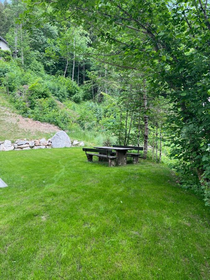 Our Forest House Trzic Luaran gambar